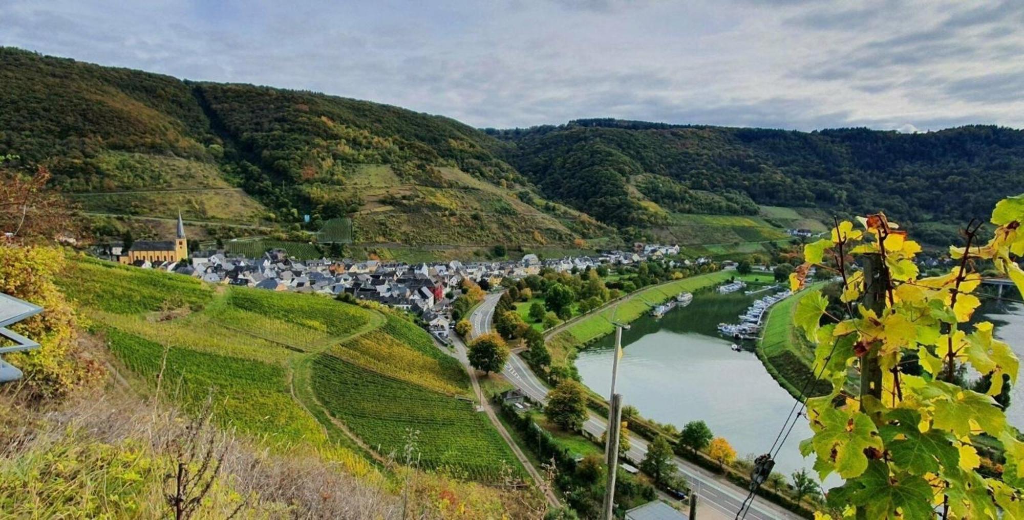 Ferienwohnung An Der Mosel, Romeo Senheim Exterior foto